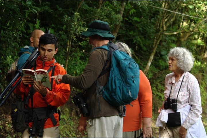Guided Birding in Monteverde Cloud Forest with Certified Local Guide & Hummingbird Garden