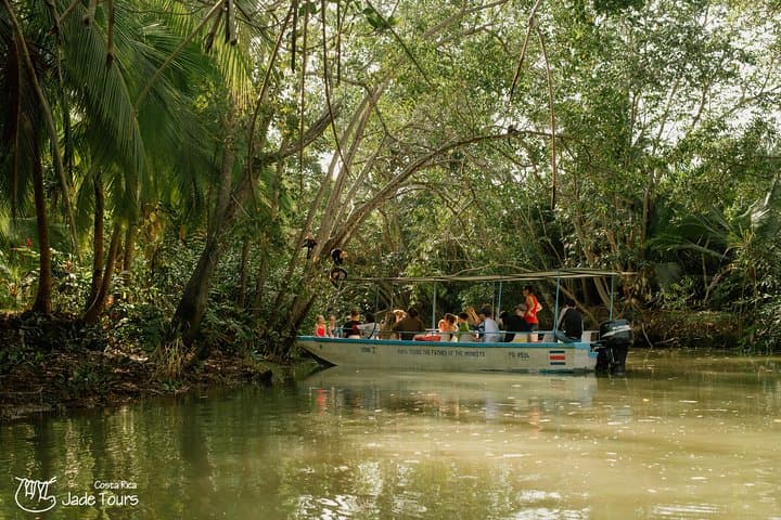 Damas Island Mangrove Boat Tour from Manuel Antonio — Wildlife & Tidal Channels photo 2