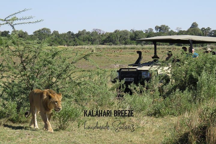 8-Day Botswana & Victoria Falls Overland: Okavango Delta, Chobe Elephants & Makgadikgadi Nights photo 4