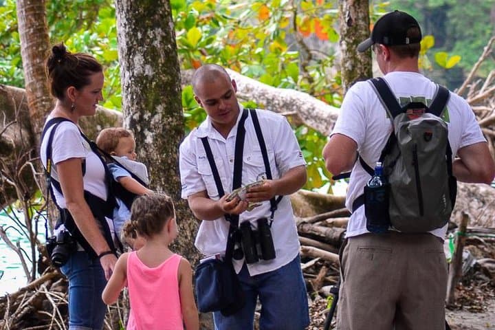 Private Manuel Antonio Park Tour — Beaches, Monkeys & Guided Wildlife Walk photo 3