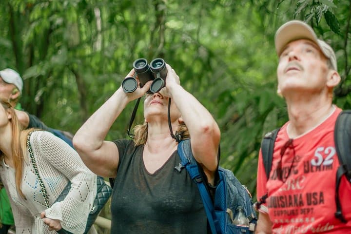 Private Manuel Antonio Park Tour — Beaches, Monkeys & Guided Wildlife Walk photo 5