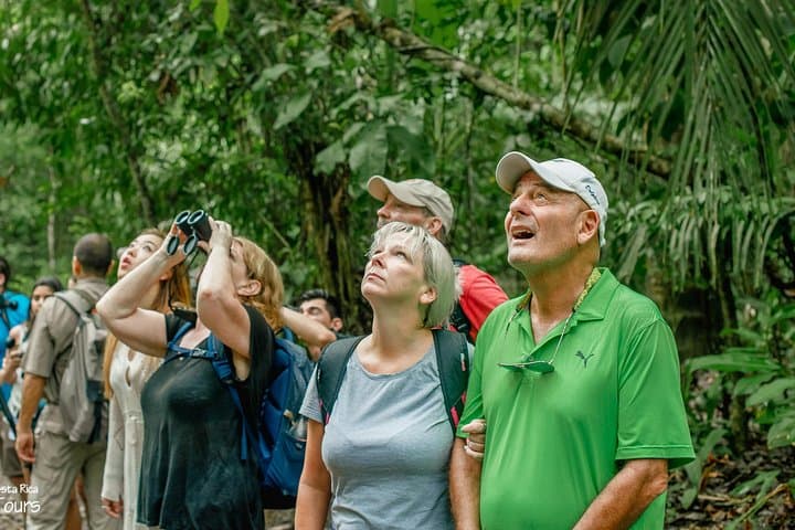 Private Manuel Antonio Park Tour — Beaches, Monkeys & Guided Wildlife Walk photo 6