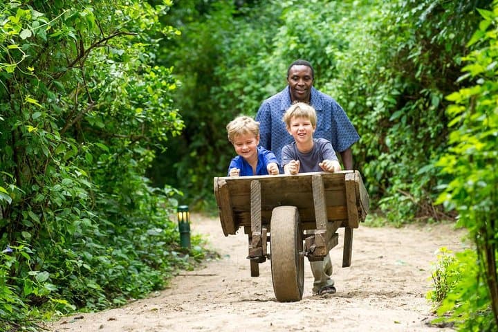 2-Day Private Safari in Tarangire & Maasai Village — Arusha Wildlife and Culture photo 4