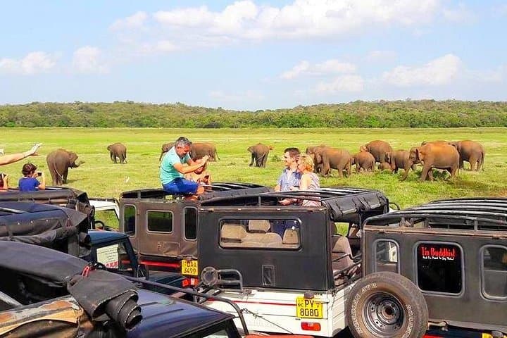 10-Day Sri Lanka Round Tour: Beaches, Tea Country, Wildlife & Cultural Sites with Private Driver photo 3