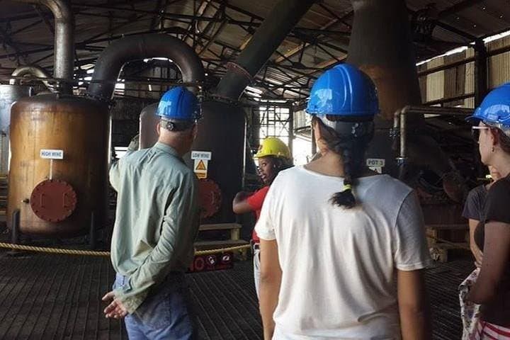 Hampden Estate Rum Tour and Lunch from Ocho Rios — Authentic Jamaican Rum & Estate Walk
