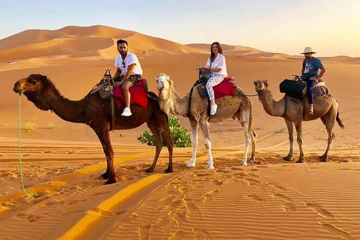 Overnight Camel Trek and Desert Camp in Erg Chebbi (Merzouga) photo 4
