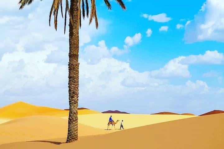 Six-Day Casablanca to Merzouga Desert Tour: Camel Trek, Dades & Todra Gorges