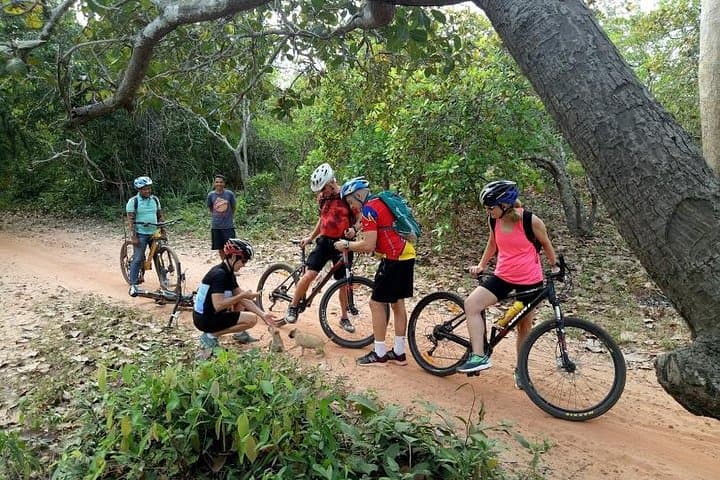 Cycle Cambodia Rice Fields & Rural Villages Tour from Siem Reap