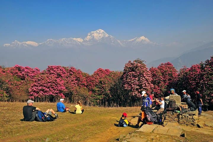 Poon Hill Sunrise: Ghorepani Annapurna Trek (Classic 4-Day) photo 3