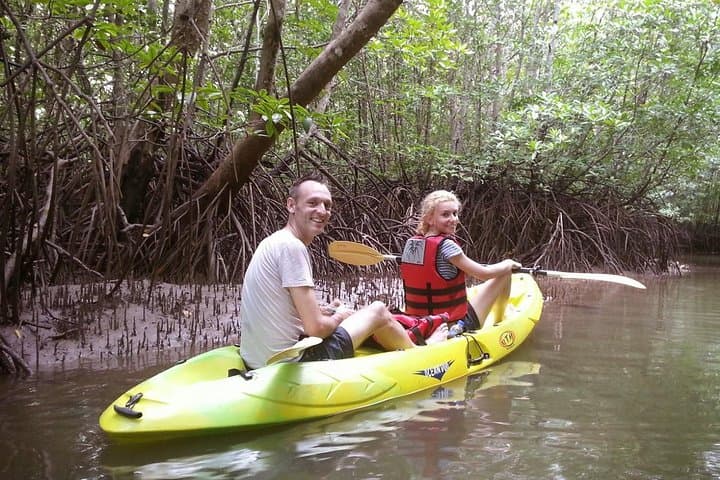 Kubang Badak Kayaking: Explore Langkawi’s Mangrove Rivers and Jungle Pool photo 2