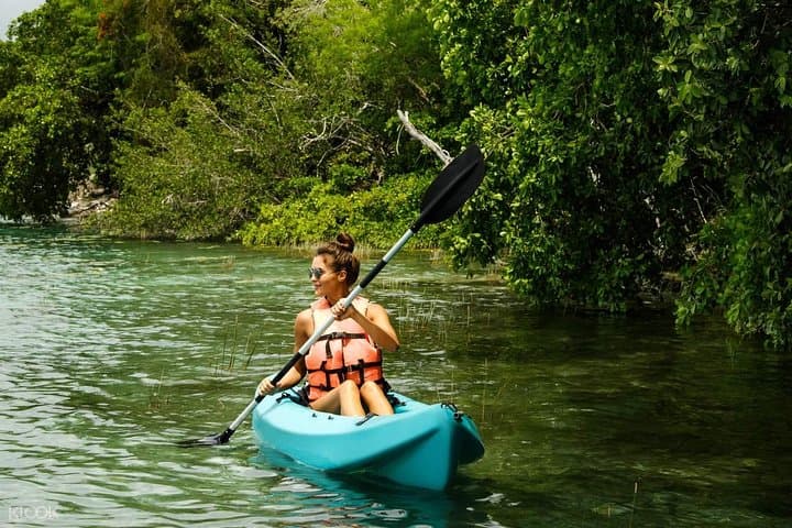 Kubang Badak Kayaking: Explore Langkawi’s Mangrove Rivers and Jungle Pool photo 4
