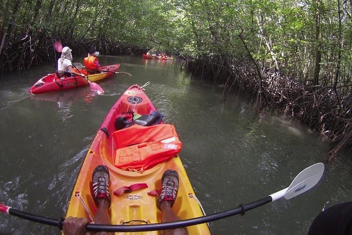 Kubang Badak Kayaking: Explore Langkawi’s Mangrove Rivers and Jungle Pool photo 5