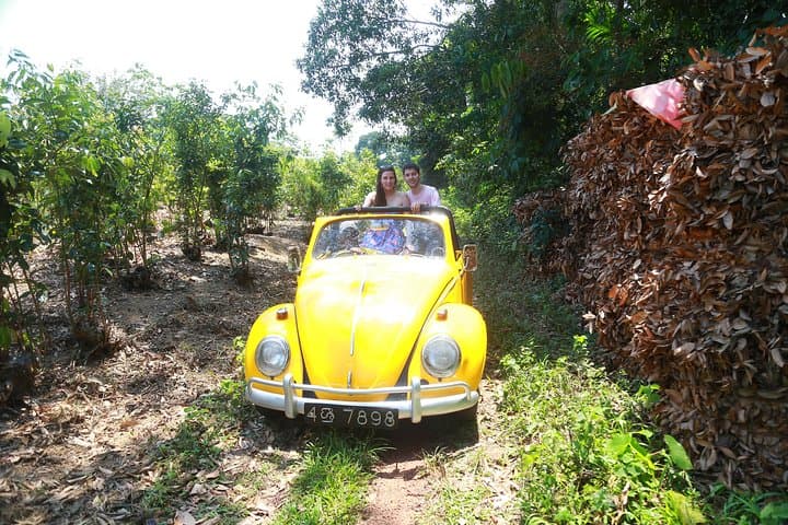 Bentota Classic Volkswagen Beetle Safari: Countryside Tour & Turtle Hatchery photo 4