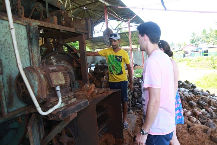 Bentota Classic Volkswagen Beetle Safari: Countryside Tour & Turtle Hatchery photo 6