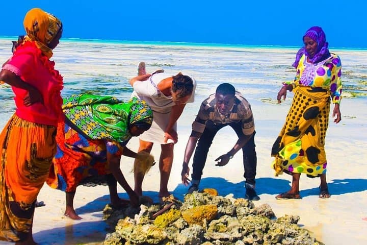 Jambiani Village Women: Seaweed, Weaving & Village-Life Walking Tour
