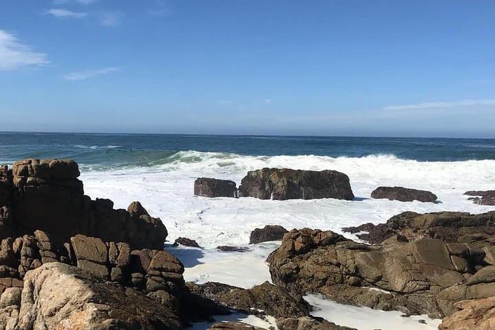 Mossel Bay Day Tour: Dias Caravel, Post Tree & Coastal Walks photo 3