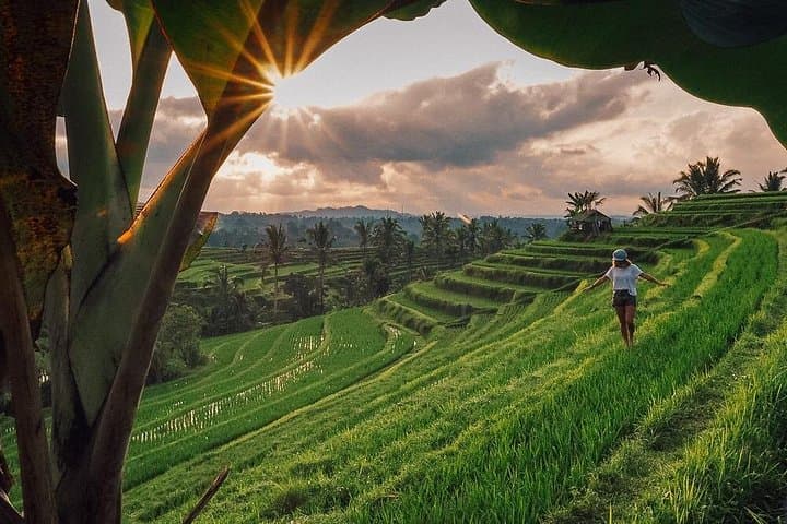 Beratan Lake Temple & Jatiluwih Rice Terrace — Full-Day Private Tour from Kuta photo 6