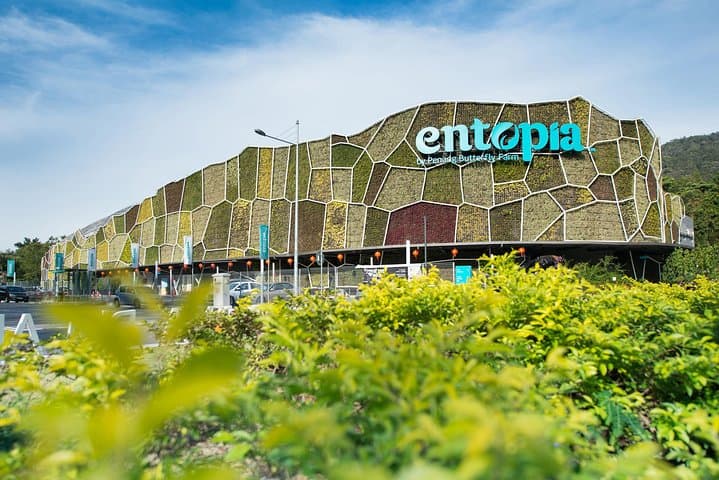 Entopia & Tropical Spice Garden Tour — Butterflies, Spices, and Coastal Views in Penang