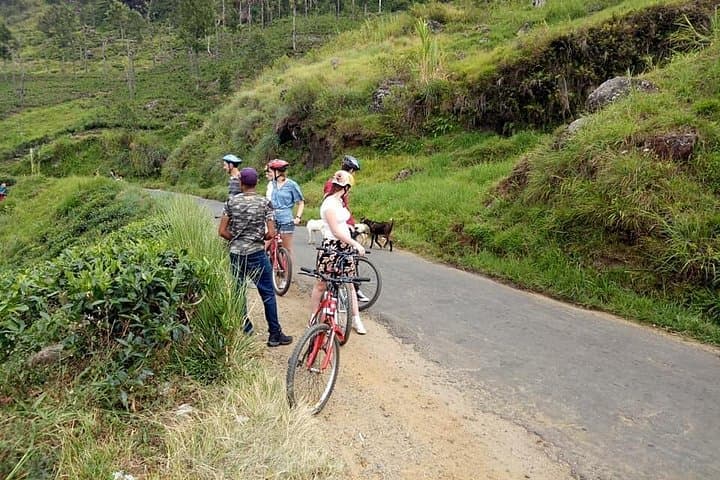 Cycling the Ella Highlands: Ride to Nine Arches & Little Adam's Peak photo 2