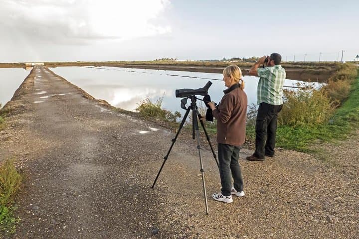 Ria Formosa Birdwatching Escape: 8-Day Self-Guided Tavira Tour