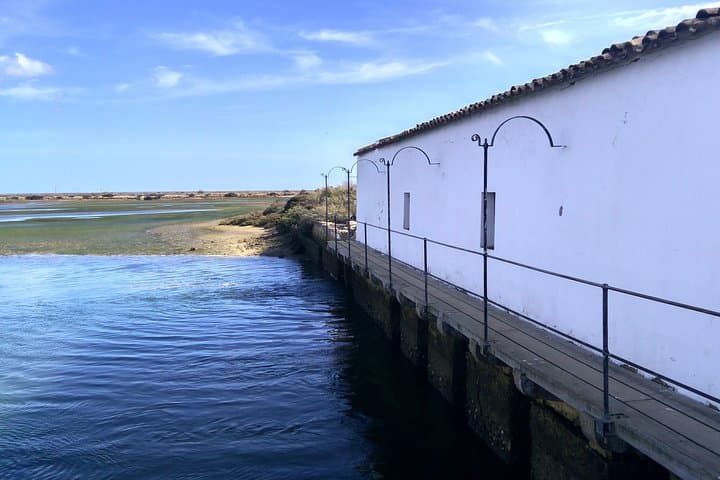 Ria Formosa Birdwatching Escape: 8-Day Self-Guided Tavira Tour photo 4