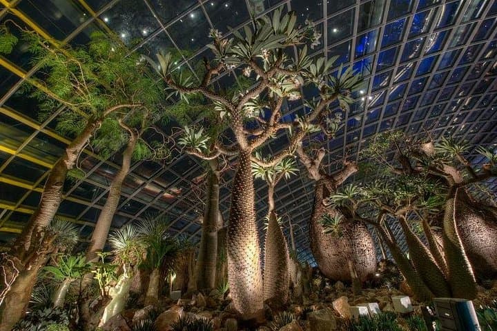 Marina Bay Night Out: Skypark Views & Gardens by the Bay After Dark photo 4
