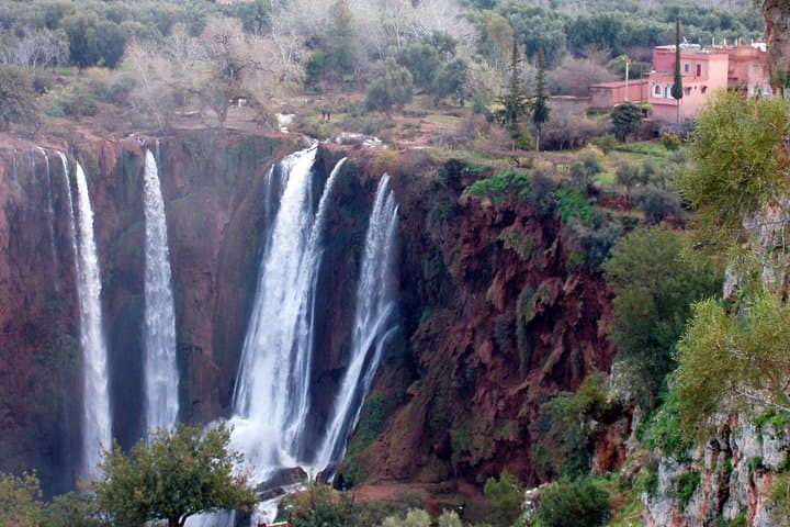 Day Trip to Ouzoud Waterfalls from Marrakech — Hike, Monkeys & Rock Pools photo 6