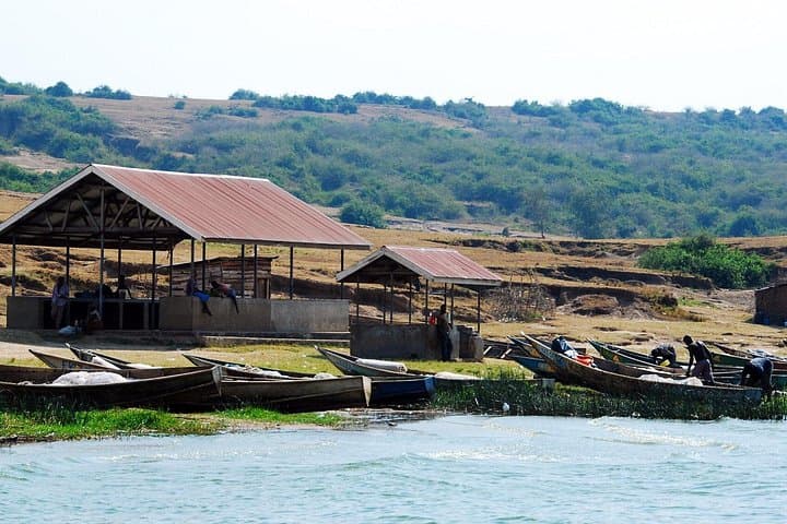 3-Day Queen Elizabeth National Park Safari: Kazinga Channel Boat Ride & Game Drives photo 4