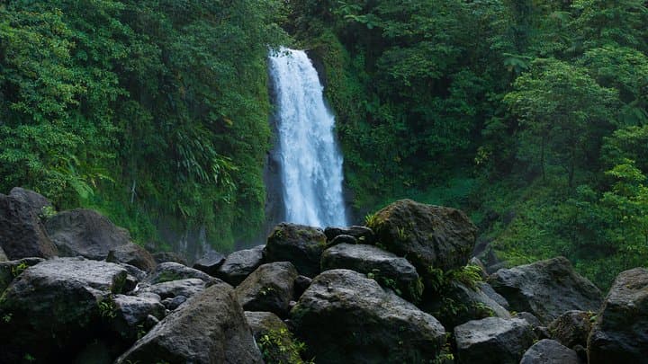 Trafalgar Falls to Champagne Reef: Dominica Waterfall & Snorkel Adventure photo 3