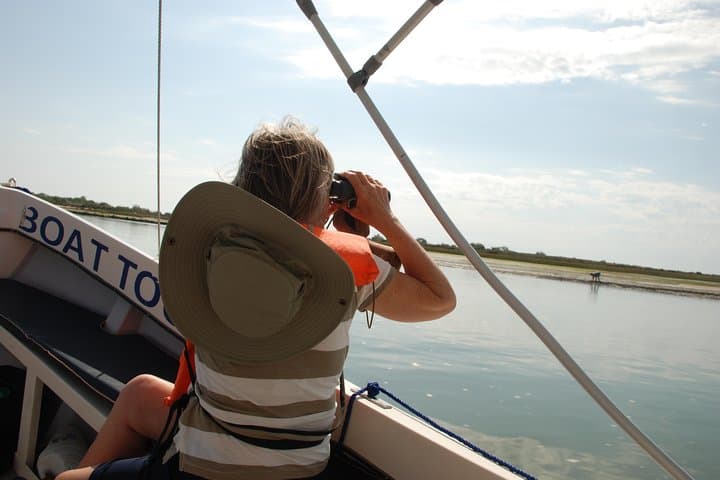 Tavira & Ria Formosa: 5-Day Self-Guided Birdwatching Adventure