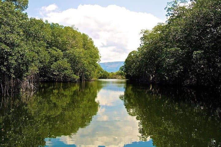 Black River Safari: Crocodile Cruise and YS Falls Day Trip from Kingston photo 2