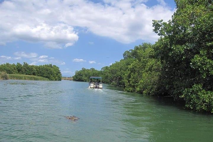 Black River Safari: Crocodile Cruise and YS Falls Day Trip from Kingston photo 4