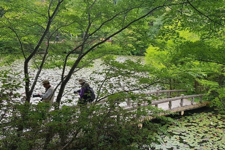 Kobe Mountains to Arima Onsen: Private Day Trip from Osaka photo 6