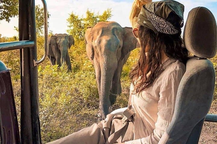 10-Day Sri Lanka Classic Private Tour — Sigiriya to Mirissa with Driver & Hotels photo 6