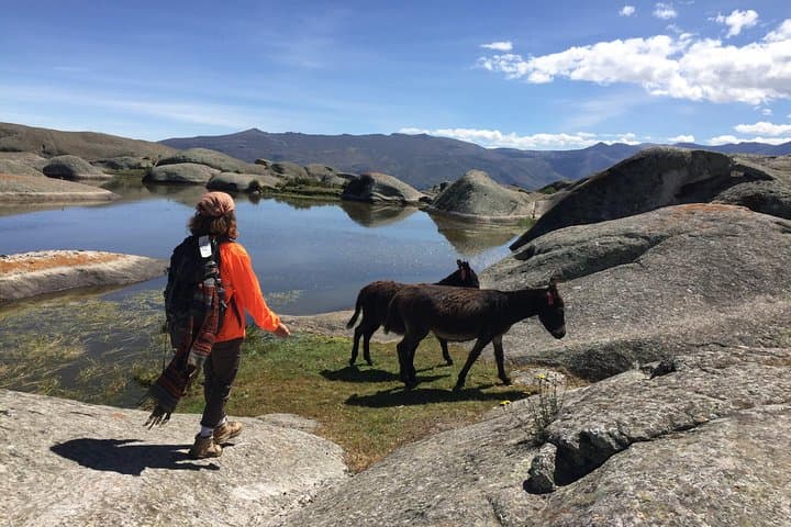 Marcahuasi Hiking: Day Trek to Peru’s Stone-Forest Plateau photo 3
