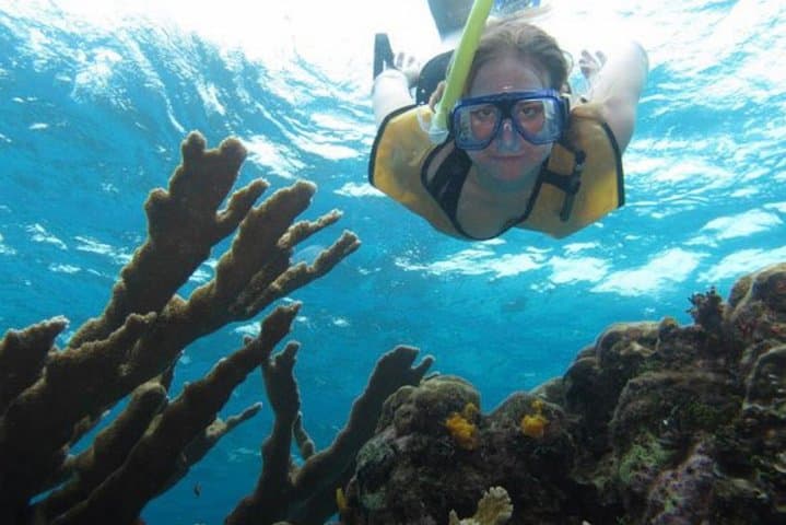 Palancar, Colombia & El Cielo Snorkeling Tour — Cozumel Day Trip photo 3
