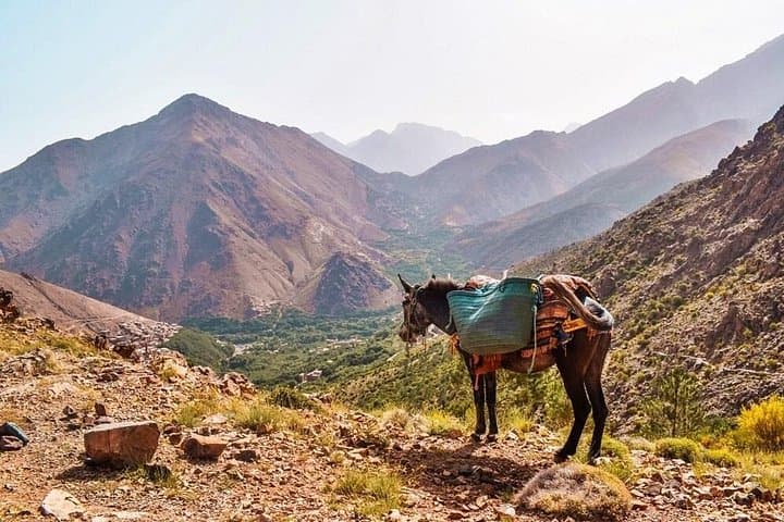 Two-Day High Atlas Trek from Marrakech: Imlil, Tizi M'zzik & Berber Villages photo 4