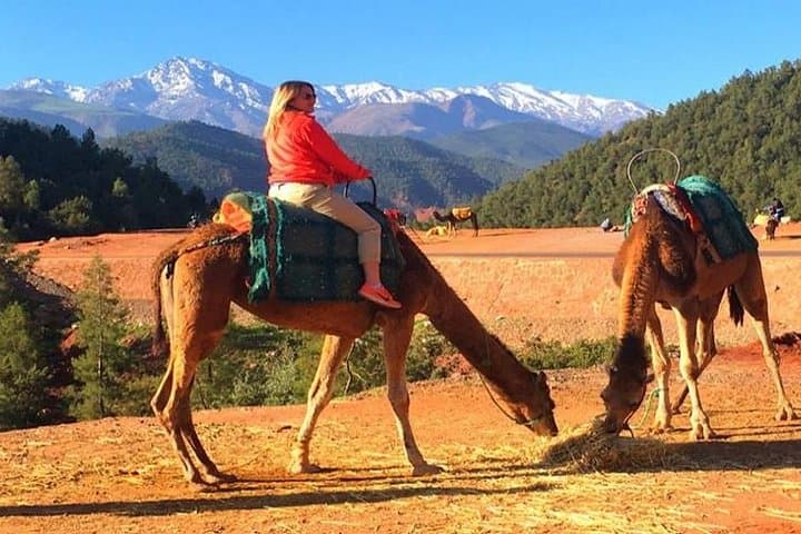 Berber Villages Day Trip & Camel Ride in the Atlas Mountains photo 3