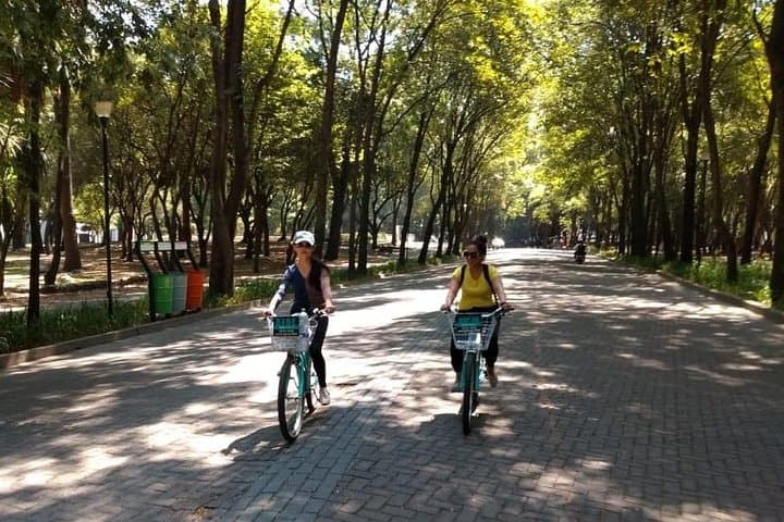 Mexico City Bike Tour: Best of CDMX in 2 Hours on Reforma & Zócalo