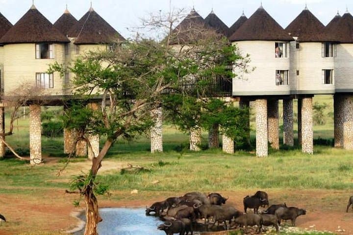 3-Day Sarova Salt Lick Safari: Taita Hills Game Lodge Escape photo 1