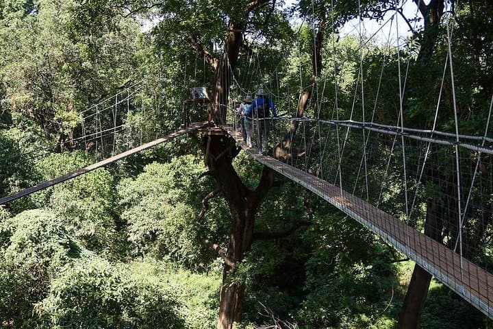 6-Day Group Safari: Serengeti, Ngorongoro, Lake Manyara & Tarangire photo 6