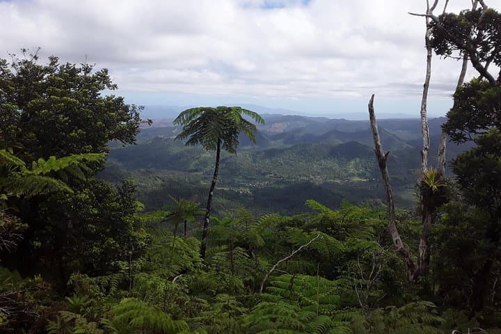 Summit Mount Tomanivi: Private Day Trek to Fiji's Highest Peak photo 6