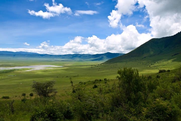 Ngorongoro Crater One-Day Shared Safari — Big Five Game Drive from Arusha photo 2