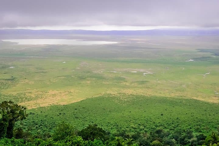 Ngorongoro Crater One-Day Shared Safari — Big Five Game Drive from Arusha photo 3
