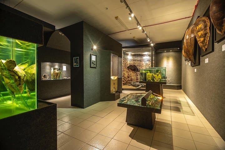 Explore Univali Oceanographic Museum Piçarras: Marine Biodiversity & Sensory Experience photo 4