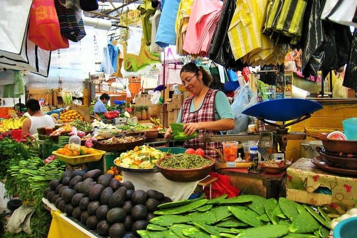 Half-Day Safari to Dominican Countryside from Punta Cana photo 6