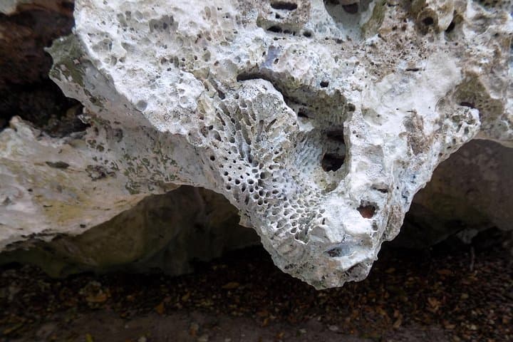 Green Grotto Caves Excursion from Negril: Guided Tour through Jamaica’s Underground History photo 2