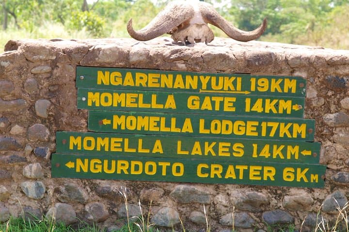 One-Day Private Safari in Arusha National Park — Game Drives, Walking Safaris & Meru Falls