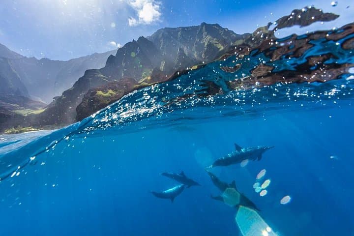 Na Pali Coast Summer Sea Kayaking: Full-Day Guided Paddle from Haʻena to Polihale photo 4