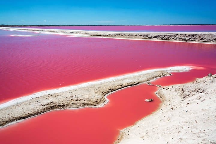 Ek Balam, Río Lagartos & Las Coloradas: Private Day Tour from Cancún photo 1